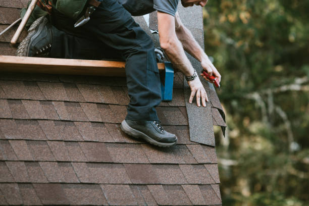 Roof Gutter Cleaning in Meadowood, PA